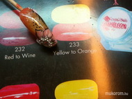 233 Chameleon hidegben és akril 