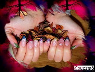 őszi színkavalkád