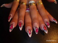 rózsaszín kagylólap