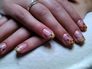 Az ősz színei CN Chameleon 261