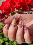 Best Nails - Miatovics Nada