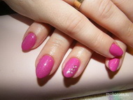 Gellac fuchsia