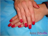Gel Lac