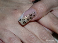 párduc minta törtkagylóval