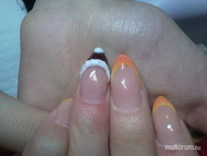 caméleon miki sapis