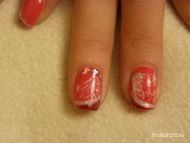 Anett ünnepi körme