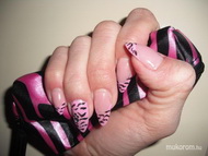 Rózsaszín csíkos köves