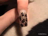 leopárdos gyakorlás 