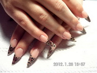 Egyre hosszabb  hegyesebb