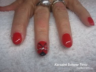 katicabogár Éva néninek