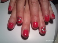 Jessinek első gel lacja