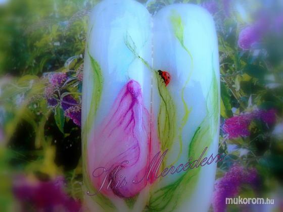 Kis Mercédesz - akvarell tulipán - 2011-02-04 19:25