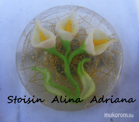 Stoisin Alina Adriana - gyuru - 2012-05-02 17:23