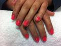 CND Shellac