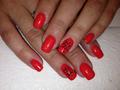 COLOR NAILS Bejelntkezés 06306090006