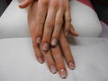 Francia Shellac