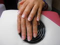 Francia Shellac