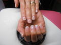 Francia Shellac