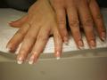 Shellac francia