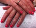 CND Shellac