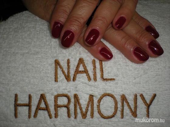 Nail Harmony - decadens - 2013-12-01 23:58