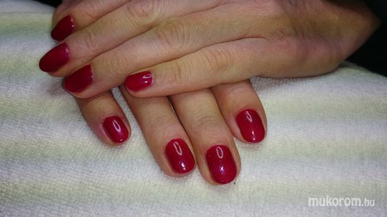 Nail Beauty körömszalon "crystal nails referencia szalon" - gél lakk - 2014-11-26 22:00