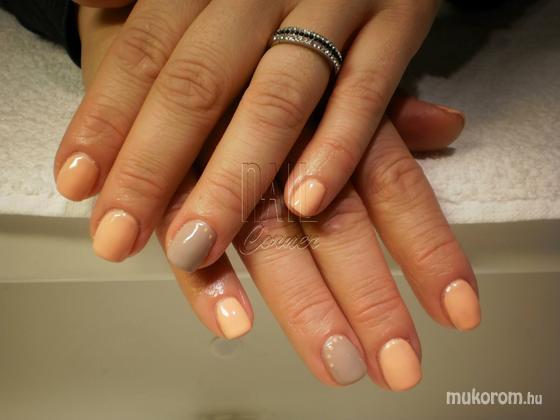 Geigerné Sipos Tímea - Shellac nude színek - 2015-02-13 12:27