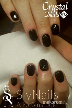 SlyNails - Gél lakk  - 2016-11-11 16:08