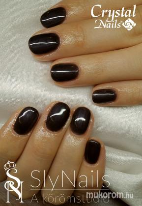 SlyNails - Gél lakk  - 2016-11-11 16:09