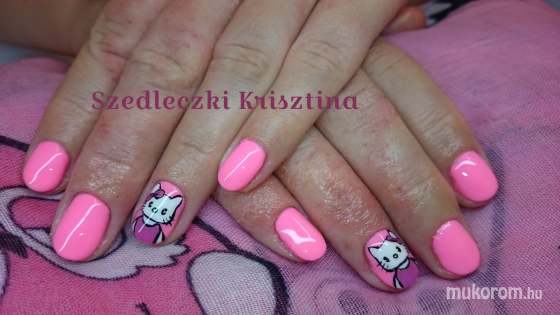 Szedleczki Krisztina  - Akril festett Hello Kitty  - 2016-11-22 21:46
