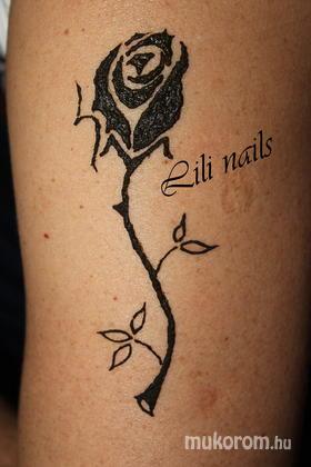 Lili Nails Nottingham - henna - 2012-01-01 22:27