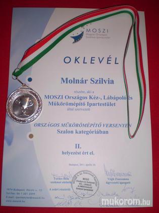 Molnár Szilvia - Oklevél - 2011-04-11 08:34