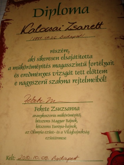 Kalocsai Zsanett  - Körmös Diplomám :D - 2010-10-13 21:52