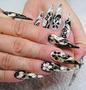 Black and white stiletto nails