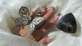 Nails with butterfly