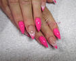 Pink porci