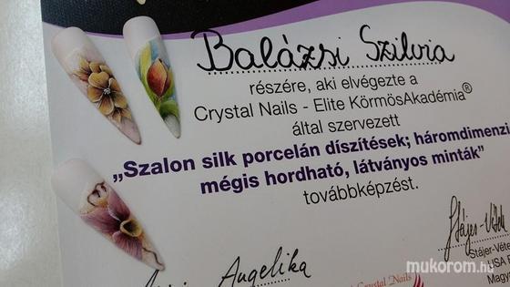 Balázsi Szilvia - tanfolyam - 2014-03-30 10:08