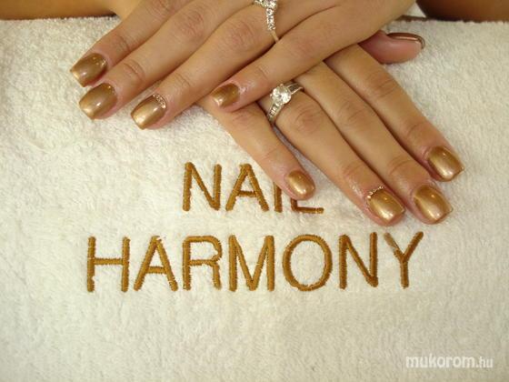 Nail Harmony - bronzos - 2013-12-01 23:56