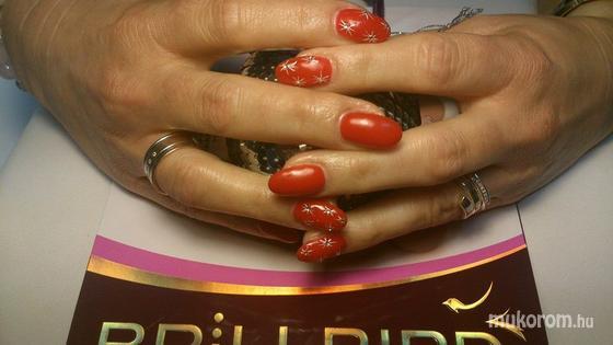 Borovszki Emma Judit -  Emma Nails (Haj-lakk Szalon) - nails - 2013-12-04 15:54