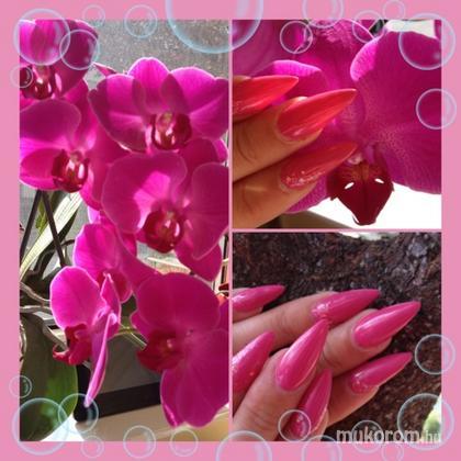 Bacskai Melitta - orchidea színű - 2015-01-04 21:05