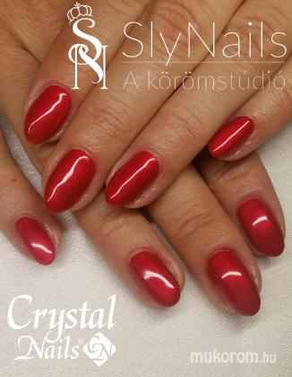 SlyNails - Műköröm  - 2016-11-03 09:56