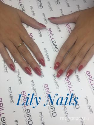 Berta Lili - Red elegant - 2018-09-20 17:32