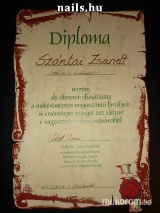 Szántai Zsanett - Diploma - 2011-08-25 21:33